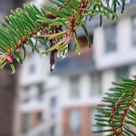 Kop San Hill Apartament